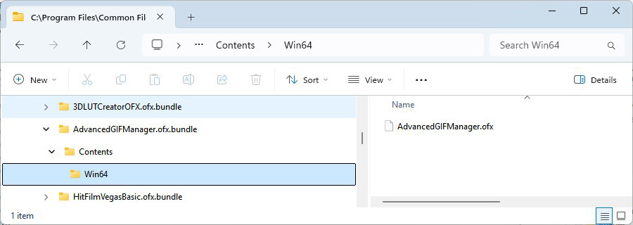 OFX plugin bundle folder structure in Windows Explorer — AdvancedGIFManager.ofx.bundle Contents Win64